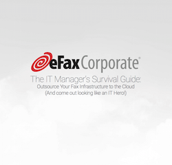 The IT Manager's Survival Guide the-it-managers-survival-guide