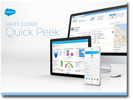 A Quick Peek at Salesforce Sales Cloud a-quick-peek-at-salesforce-sales-cloud