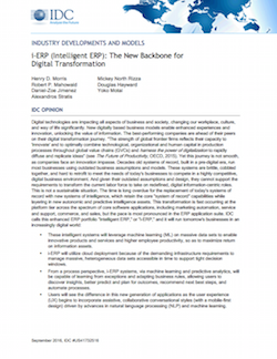 i-ERP (Intelligent ERP) i-erp-intelligent-erp