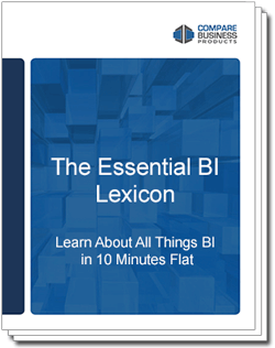 The Essential BI Lexicon the-essential-bi-lexicon