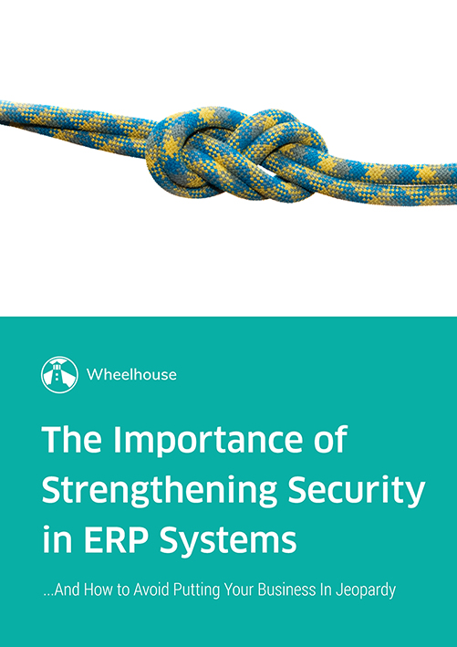 The Importance of Strengthening Security in ERP Systems the-importance-of-strengthening-security-in-erp-systems