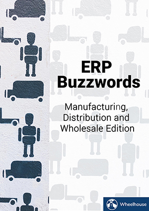 ERP Buzzwords erp-buzzwords